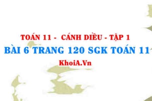 Bài 6 trang 120 SGK Toán 11 tập 1 Cánh Diều